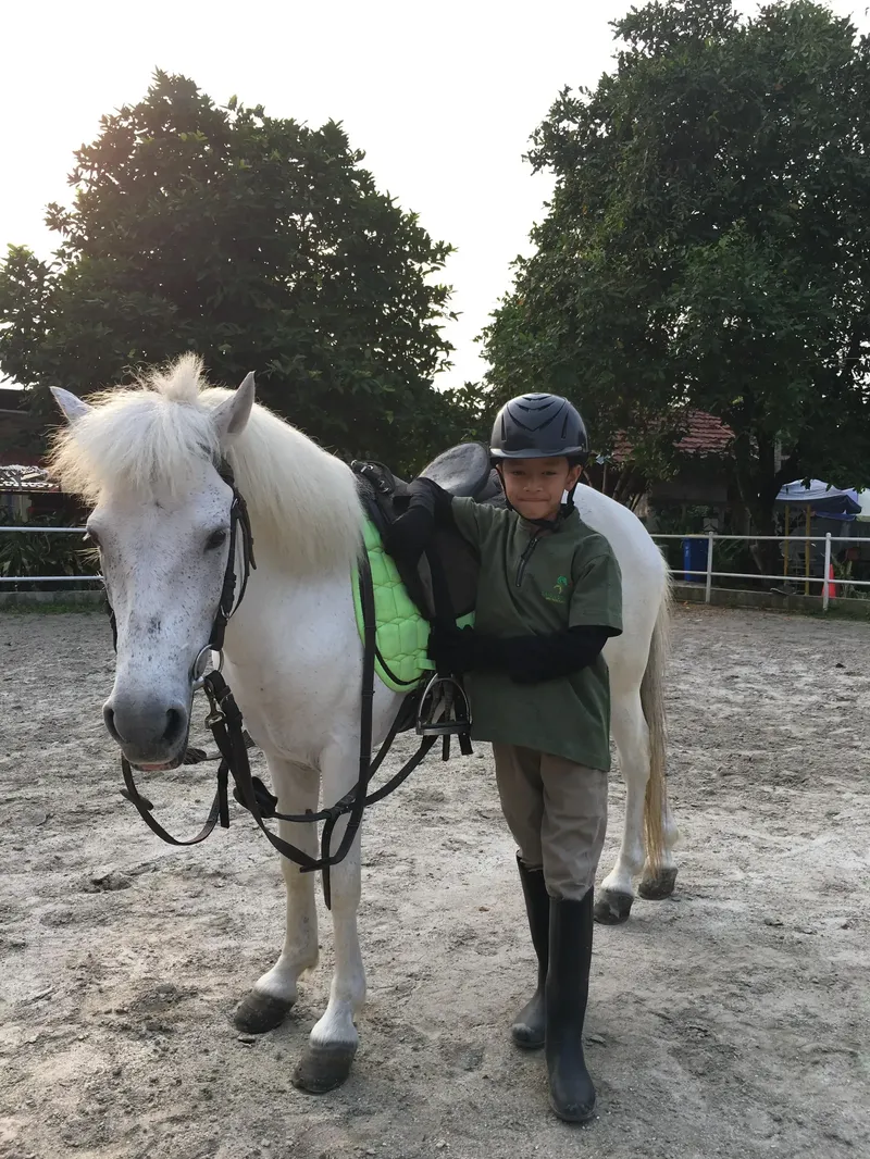 Saiga Stable Gallery